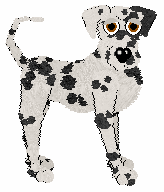 Cargo's Back And Forth at Amenity — “Palindrome”