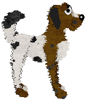 Profile image of Freefall's Dazzling Bestowal