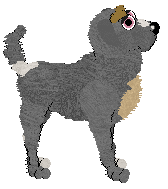 MJ's Berry Punch at Chachke — “Coolaid”