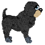 Chachke's Coming In Hot — “River”