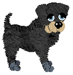 Chachke's Coming In Hot — “River”