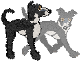 Profile image of Chachke's Berry Cloud Perfection