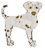 Confetti's Holly and Ivy — “Ivy”