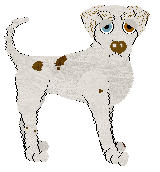 Profile image of FDL's Hold That Thought