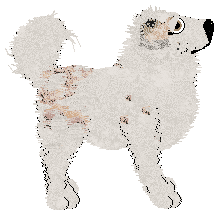 Cirrutopia/FK’s Thunderlit Horizon — “Stormglow”