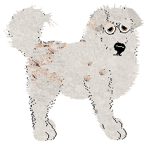 Profile image of Cirrutopia/FK’s Thunderlit Horizon