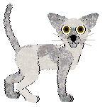 Profile image of HK's Pogwizd at Wild Road