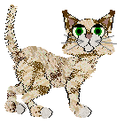 Profile image of Witz's Starbalm at Wild Road