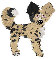 Profile image of Zan's Poison Berries at Wild Road