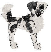 Wild Road's Smart Spring Science — “Maili”