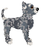 Profile image of NSP's Glow Up at Wild Road