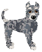 NSP's Glow Up at Wild Road — “Tea”