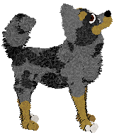 Wild Road's Frenzied Flame — “Midra”