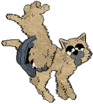 Profile image of sketchi/Witz's Squirm & Shuffle