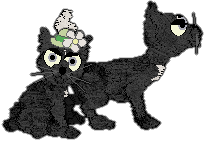 Profile image of Witz's Mistakes Made Now