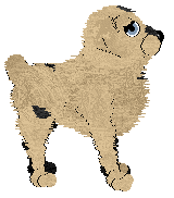 WAA/Aura's Because I'm Happy — “Feliz”