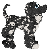 Whimsy/Dh's Proceed With Caution — “Skunk”