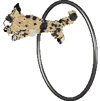 Bec/Dh's Waggle Dance — “Honey”