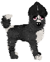 Funfetti/Dh's Velours Lumière — “Beaumont”