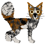 Calluna/Dh's What Is PSL — “Pumpkin”