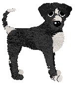 Amphigory/Dh's What Do You See — “Rorschach”