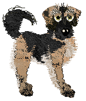 Profile image of Cirrutopia/Dh's Stone Whisper