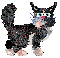 Tangled's I'm Here for the Party at Vanilla — “Clover”