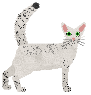 Sierpiński's Cat in Rat's Clothing at Vanilla​​​​ — “Mouse”