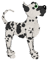 Profile image of Amenity's Not Your Average Apothecary at Medusa