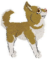 Profile image of Pachelbel's Jeremy Bearimy