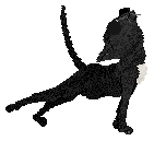 King's Skinnime — “Skinnime”