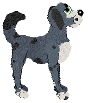 Medusa Dazzling Chaos — “Ikhouvanjou”