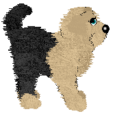 King's Break It Up at Vanilla — “Tussle”