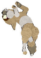 SSHP's Never Settle at Vanilla — “Settle”