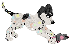 Funfetti's Twinkling Pastels at Medusa — “Elio”