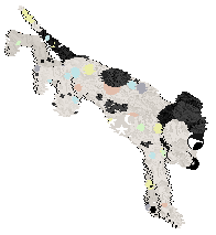 Funfetti's Twinkling Pastels at Medusa — “Elio”