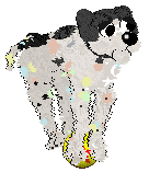 Funfetti's Twinkling Pastels at Medusa — “Elio”