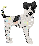 Funfetti's Twinkling Pastels at Medusa — “Elio”