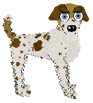 Profile image of Sz's Pearl of my Eye