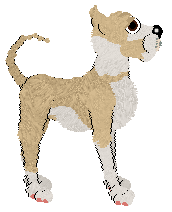 Mockingbird's Brave and Bold Warrior at SzK — “Gunnar”