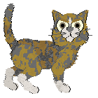 Profile image of Aura's Sweet Deal