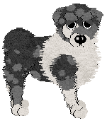 HK's Graciously Gray — “Bento Box”