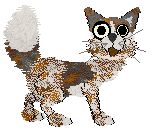 HK's First Taste of Sweetness — “Sugarplum”