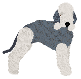 Profile image of Caliente's Sterling Serenade at Vanilla