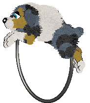 Aura's Apply What Comes Naturally — “Daisy”