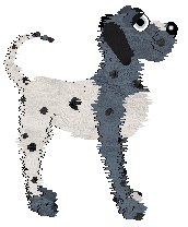 Medusa/FDL's Qalbi Laha — “Habibti”