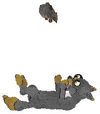 Shortbread's wow this woman manages her anxiety by fuelling it @ Mockingbird — “wow this woman manages her anxiety by fuelling it”