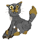 Shortbread's wow this woman manages her anxiety by fuelling it @ Mockingbird — “wow this woman manages her anxiety by fuelling it”