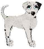 Confetti's Express Force Shield — “Gunner”