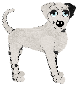 Confetti's Express Force Shield — “Gunner”